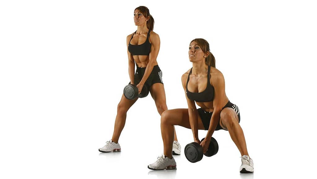 Ejercicios de Fuerza | ADNFIT Ejercicios de Fuerza