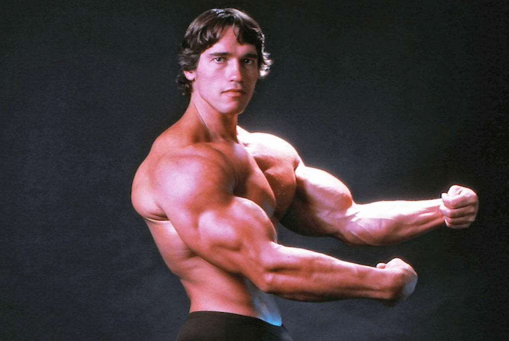Fisicoculturista Arnold Schwarzenegger | ADNFIT Fisicoculturista Arnold Schwarzenegger