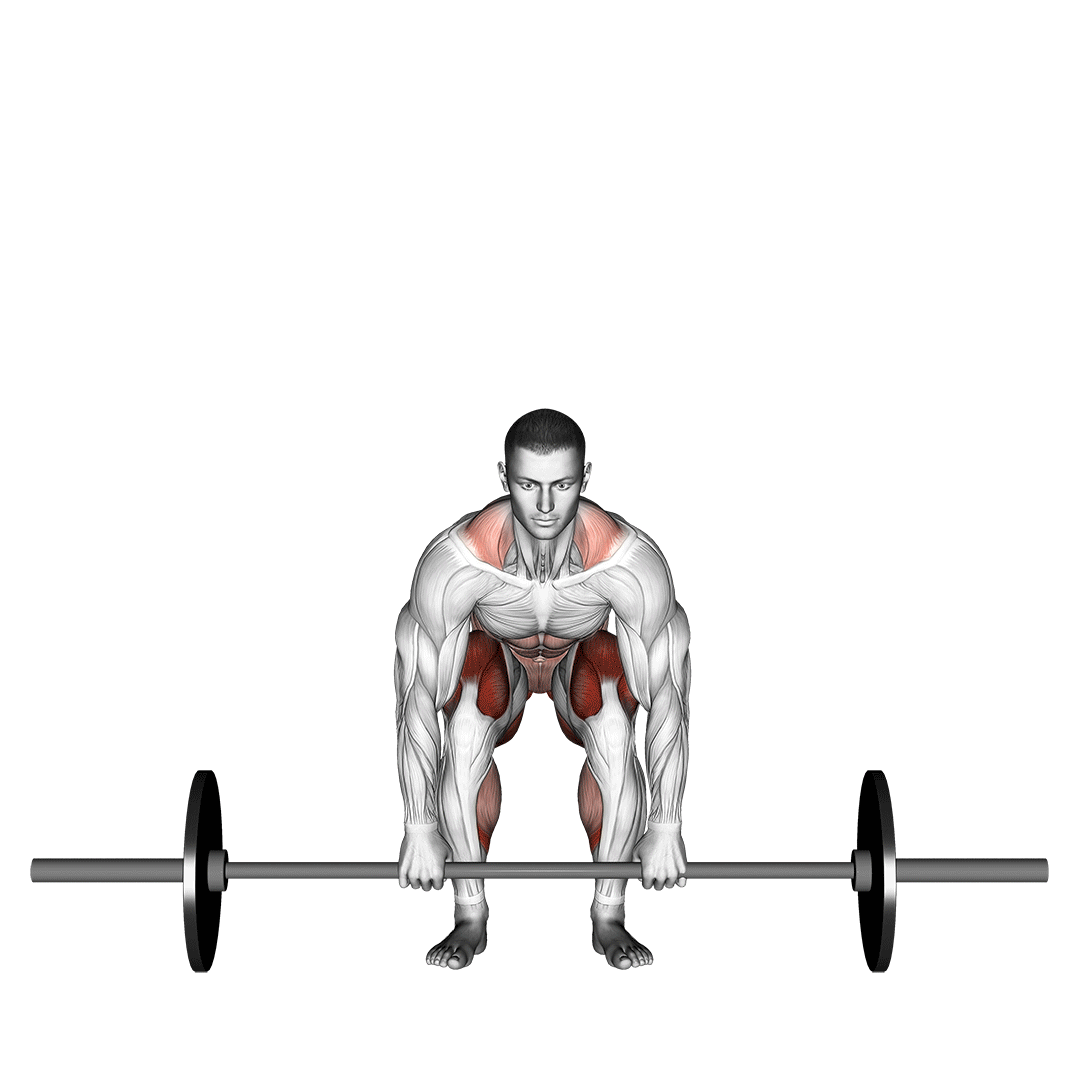 barbell-deadlift | ADNFIT barbell-deadlift